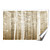  Printed Art Landscape Forest Mist by Pela + Silverman