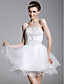  A-line Strapless  Short/ Mini  Satin  Tulle  Cocktail Dresses (WSH04160)