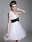  Ball Gown V-neck Short/Mini Tulle Over Satin Cocktail Dress