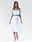  A-line Strapless Knee-length Taffeta Pick-up Bridesmaid/Homecoming Dress
