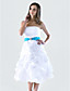  A-line Strapless Knee-length Taffeta Pick-up Bridesmaid/Homecoming Dress