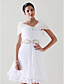  Tulle With Rhinestone Clasp Bridal Wedding Shawl