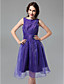  A-line Bateau Knee-length Organza Bridesmaid Dress
