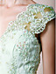 A-line V-neck Floor-length Chiffon Mother of the Bride Dress With Appliques