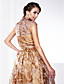  PASCUALA - Robe de Soirée Organza