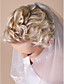  One-tier Cathedral Wedding Veils With Lace Applique Edge