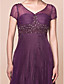  AYLICE - Robe de Mère de Mariée Organza Satin