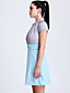  TS Contrast Colors Blouse Dress