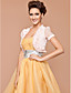  manica corta chiffon / cotone ufficio & carriera giacche / avvolge