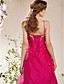  A-line Spaghetti Straps  Floor-length Taffeta  Tulle Evening Dress
