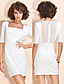  TS Mesh Back Sheath Dress