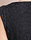  TS Sleeveless Lace Sheath Dress