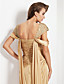  Sheath/ Column Straps Floor-length Charmeuse Evening Dress