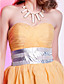  A-line Sweetheart Knee-length Organza Cocktail Dresses