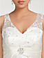  A-line V-neck Chapel Train Lace Plus Size Wedding Dress