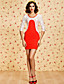  TS Lace Sleeve Bodycon Dress