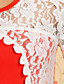  TS Lace Sleeve Bodycon Dress