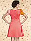  ts vintage contrasterende kleur ruches jurk