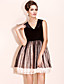  TS Velvet Lace Dress With Mesh Shell