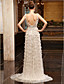  Sheath Column Bateau Sweep Brush Train Tulle Over Chiffon Luxurious Dresses
