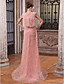  Trumpet Mermaid Bateau Sweep Brush Train Tulle Over Chiffon Luxurious Dresses