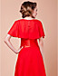  Prachtige korte mouw chiffon Speciale gelegenheden jas / bruiloft wrap (meer kleuren)