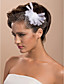  15cm x 8cm precioso tul de novia de la boda flor blanca / ramillete / casco