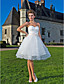  Ball Gown Sweetheart Knee-length Tulle Wedding Dress
