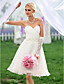  A-line Sweetheart Knee-length Organza Wedding Dress