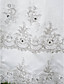  A-line Chapel Train Tulle Wedding Dress With Removable Straps