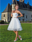  Ball Gown Sweetheart Knee-length Tulle Wedding Dress