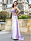  Sheath/Column V-neck Watteau Train Chiffon And Satin Evening Dress