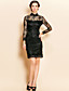 TS High Neck Lace Slim Dress