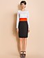  TS Simplicity Contrast Color Long Sleeve Slim Sheath Dress