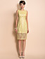  TS Simplicity Gold Lace Sleeveless Sheath Dress