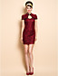  TS Plunging Neck Lace Chinese Bodycon Dress