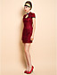  TS Plunging Neck Lace Chinese Bodycon Dress