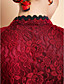  TS Plunging Neck Lace Chinese Bodycon Dress