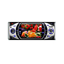 3,6 "color TFT indash Car DVD Player (SY-991)