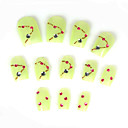 12 PC Special Design Art Acrylic False Nails Tips (TYZJ0004) (Start From 20 Units)