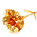 24k Gold Carnation Mother's Day Gift