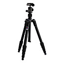 Benro A069 Travel Angel Aluminum Tripod with B00 Ballhead(CCA232)