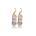 Gorgeous Shinning Alloy With Cubic Zirconia Earring 0986-jlye03