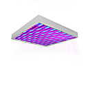 8W LED Grow Light with Super Harvest Colors (NASA Red and Blue)