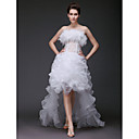 Ball Gown Strapless Asymmetrical Feathers/ fur Organza Wedding Dress