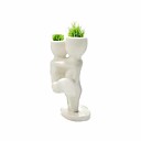Hair Man Plant——Nestle