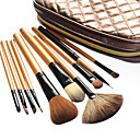Professional Brush Set With Dark Lovely Pouch(10 Pcs)