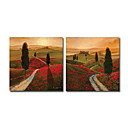 de hand geschilderde landschap olieverf met gestrekte frame - set van 2
