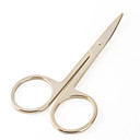 Beauty Scissors