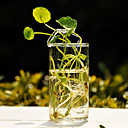 Simple Design Clear Glass Vase Centerpiece
